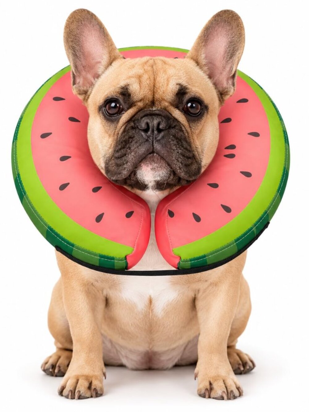 Soft Inflatable Dog Cone N9354